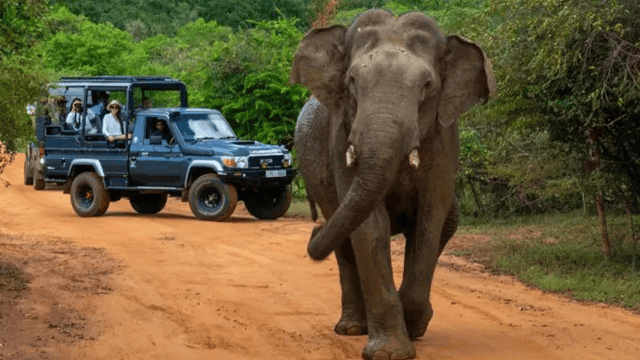 5 Days Sri Lanka Tour Package | Sigiriya, Kandy, Ella & Mirissa | Hotels with Breakfast & Luxury Car – photo 6