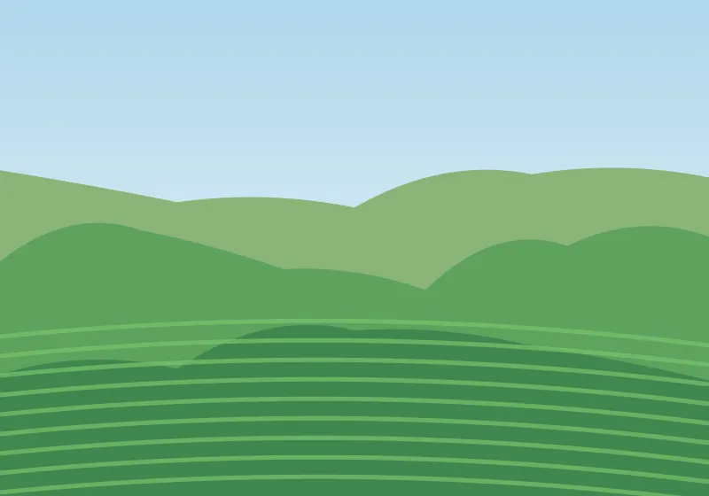 Nuwara Eliya tea hills illustration